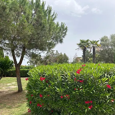 Avec Piscines Et à Pied *