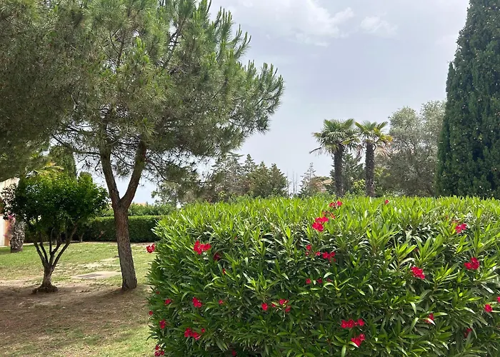 Avec Piscines Et à Pied *